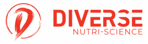 DNS-H-Logo