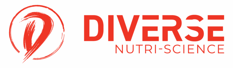 DNS-H-Logo